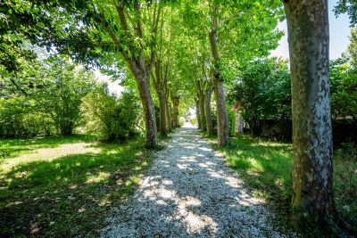 Vente Château Bordeaux 10&nbsp;Pièces 600&nbsp;m²