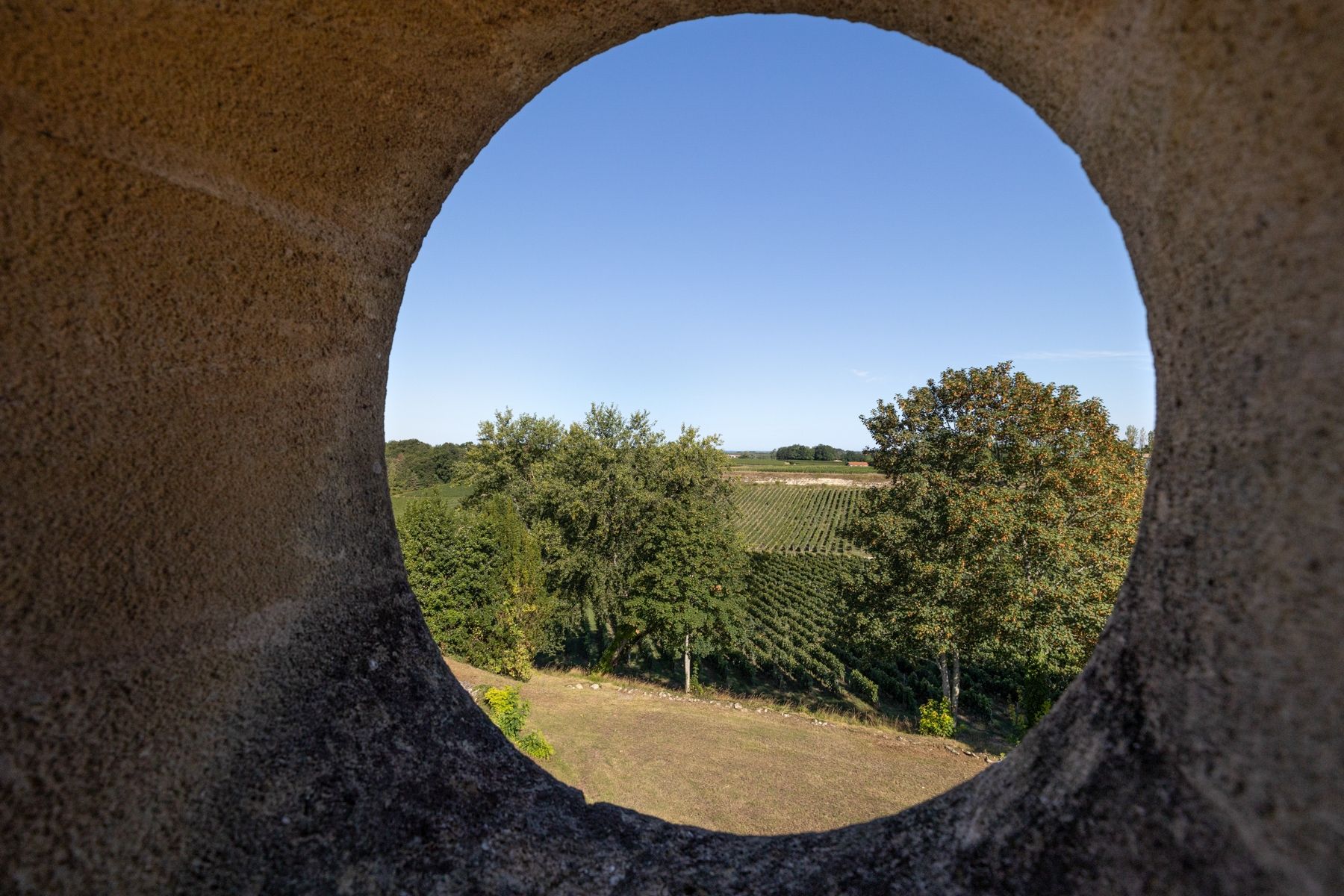 castle 10 Rooms for sale on BORDEAUX (33000)