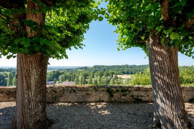 Sale Castle Bordeaux 30 Rooms 800 m²