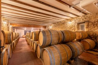 propriété viticole 40 Pièces en vente sur BORDEAUX (33000)