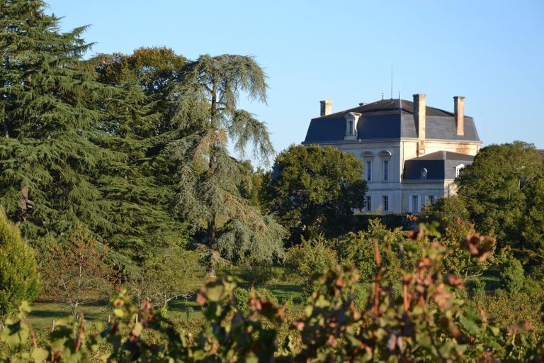 wine estate 15 Rooms for sale on BORDEAUX (33000)
