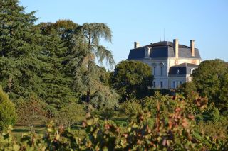 wine estate 15 Rooms for sale on BORDEAUX (33000)