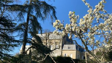 wine estate 15 Rooms for sale on BORDEAUX (33000)