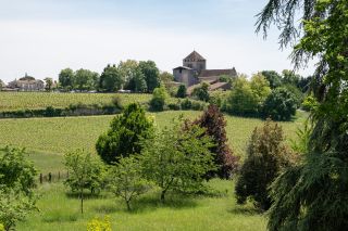 wine estate 15 Rooms for sale on BORDEAUX (33000)