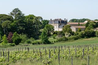 wine estate 15 Rooms for sale on BORDEAUX (33000)
