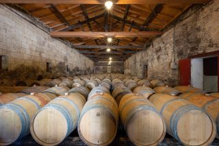 wine estate 15 Rooms for sale on BORDEAUX (33000)