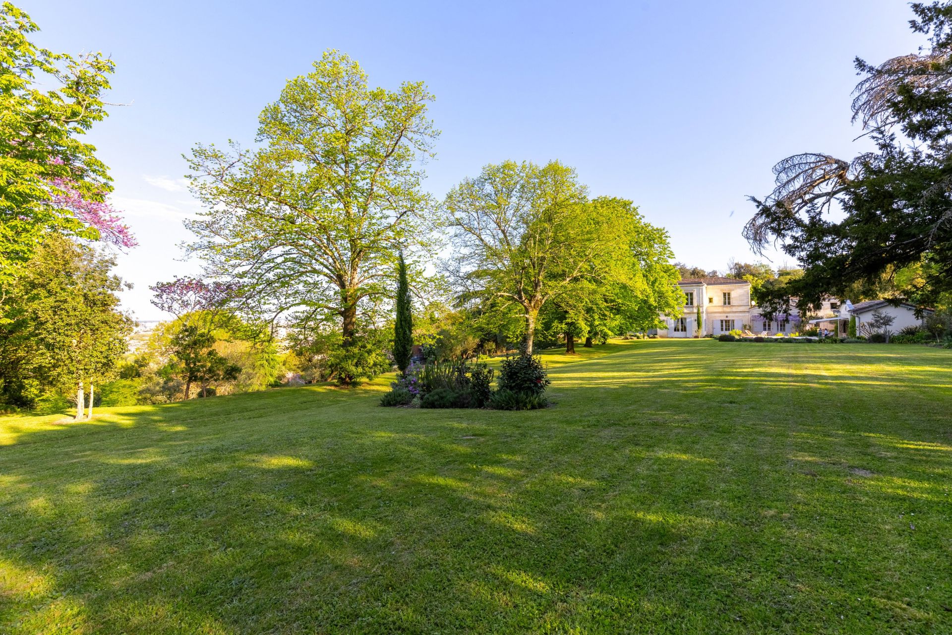 propriété 12 Pièces en vente sur BORDEAUX (33000)