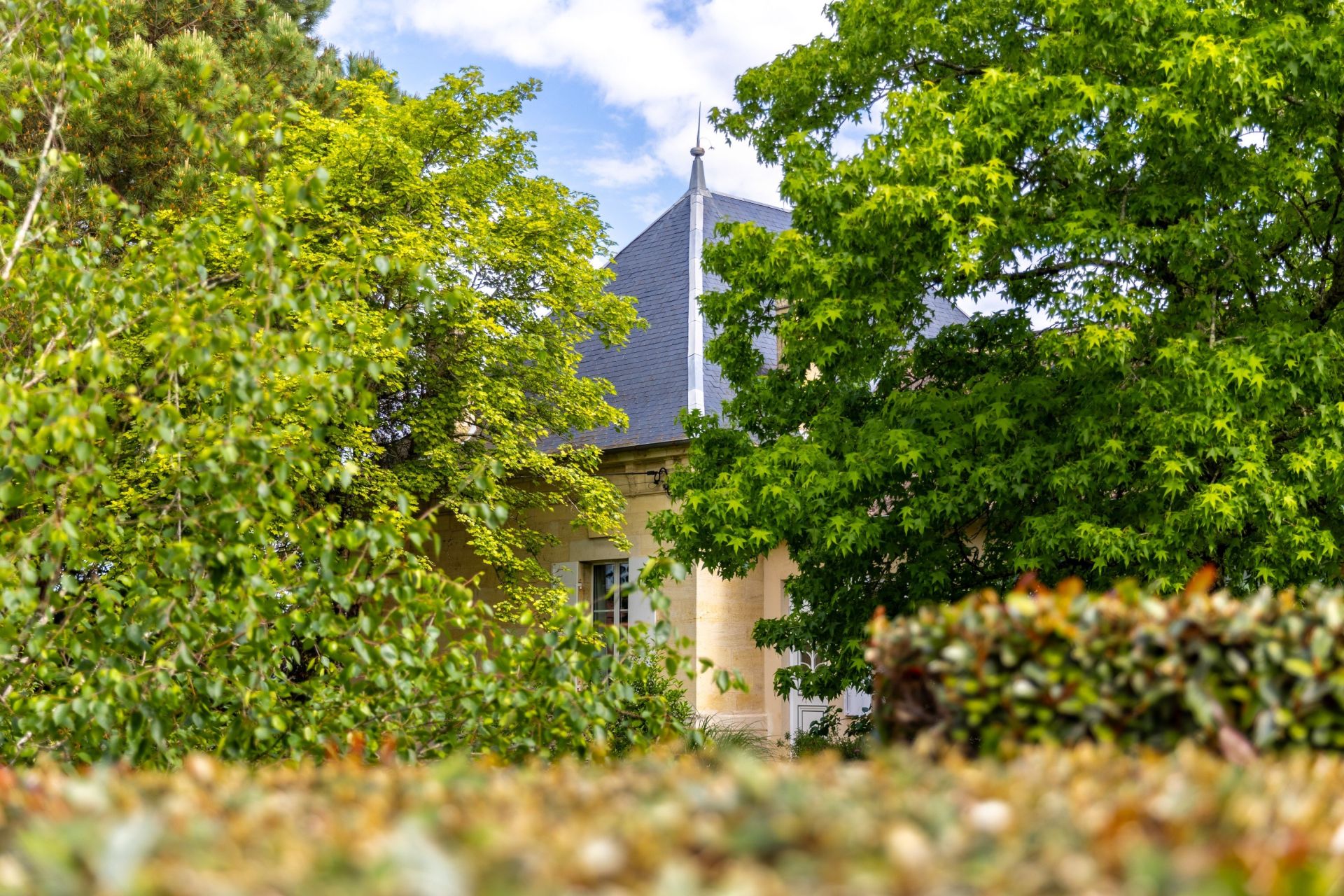 propriété viticole 5 Pièces en vente sur BORDEAUX (33000)