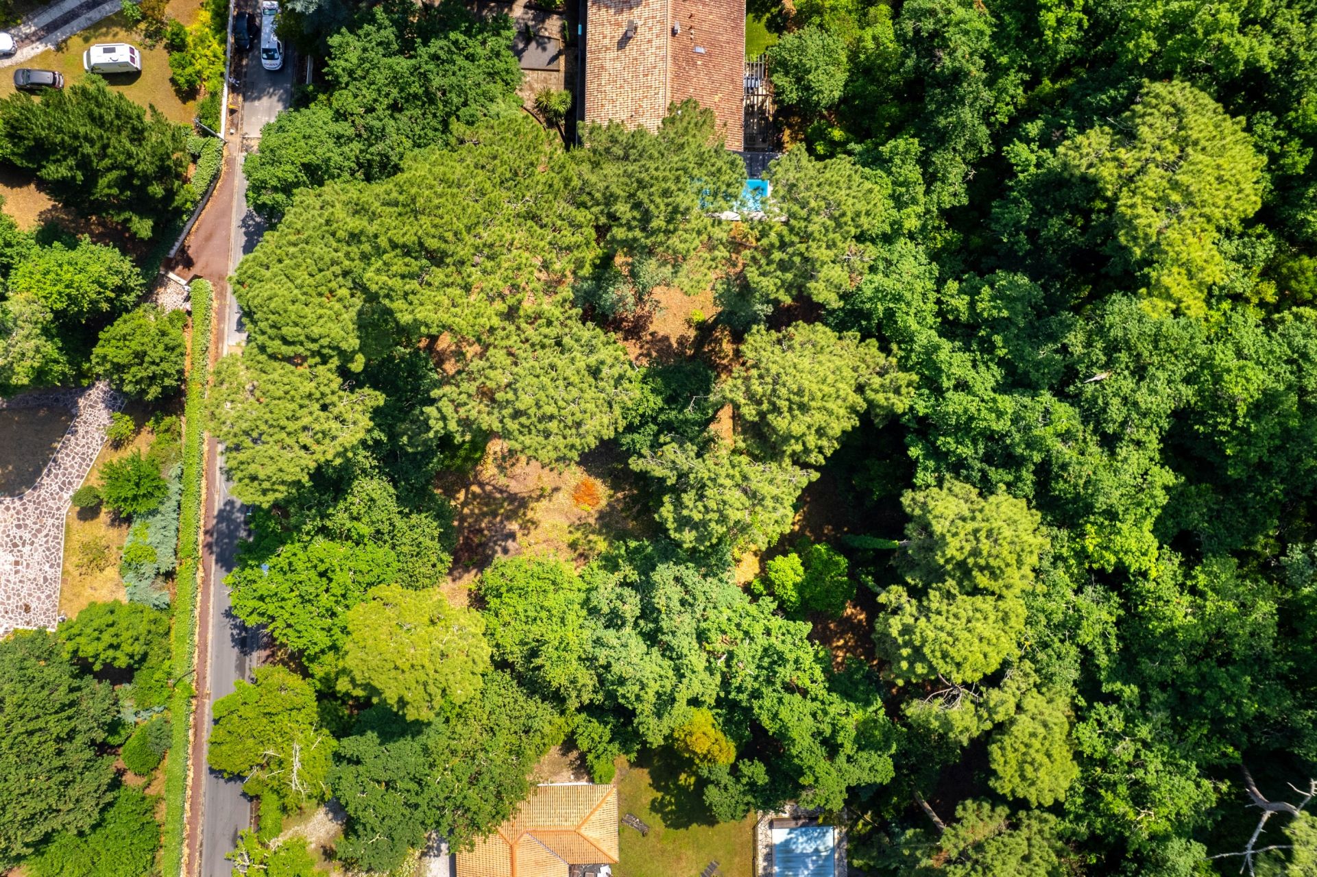 terrain en vente sur ARCACHON (33120)