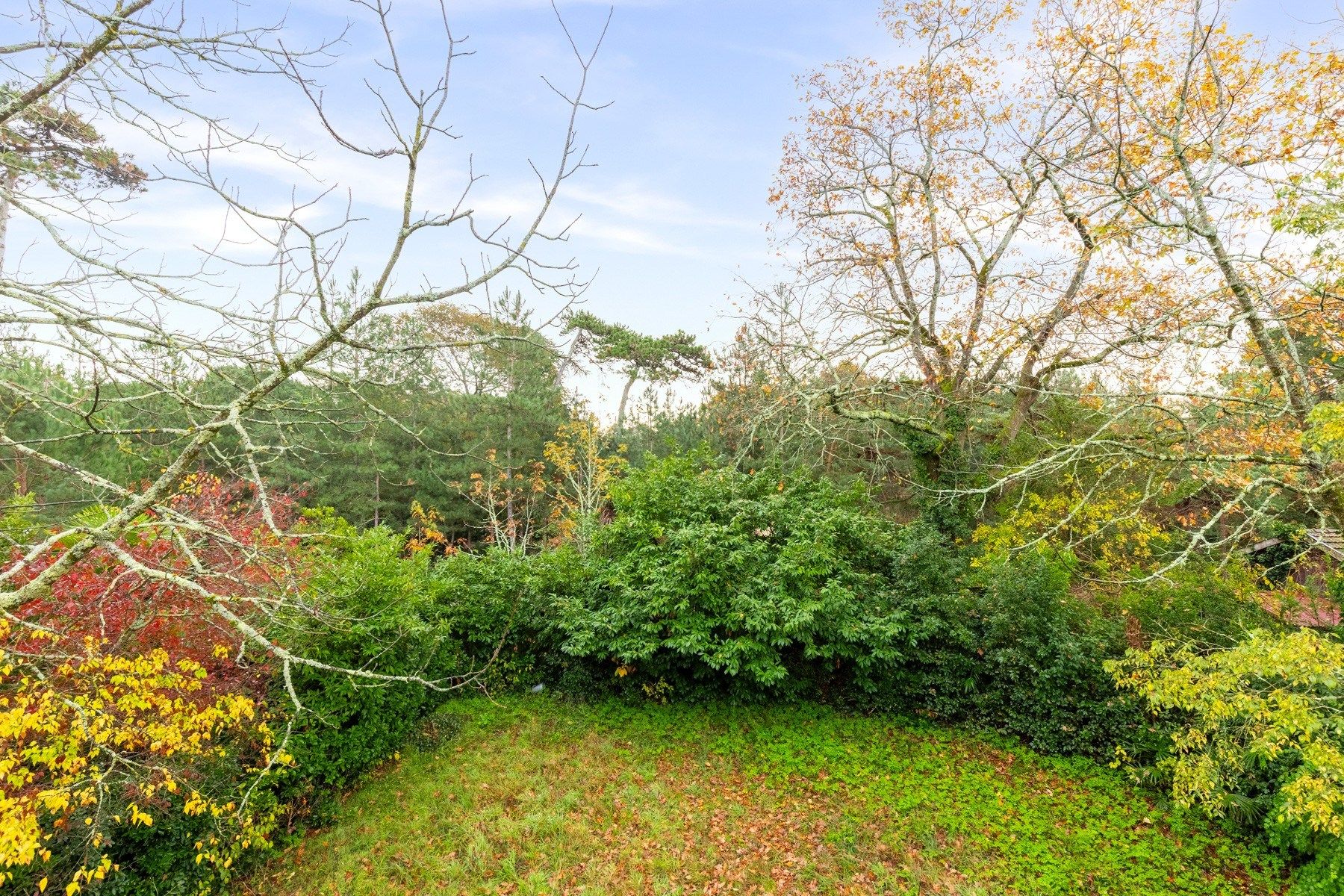 house 10 Rooms for sale on BORDEAUX (33000)