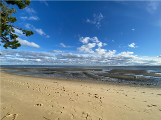 house 7 Rooms for sale on CAP FERRET (33970)