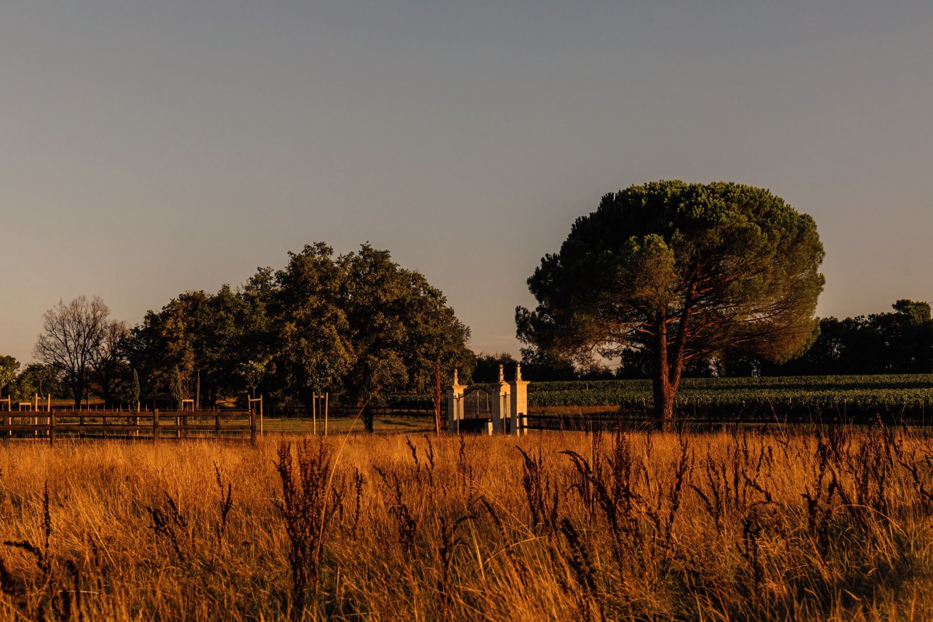castle 15 Rooms for sale on ST EMILION (33330)