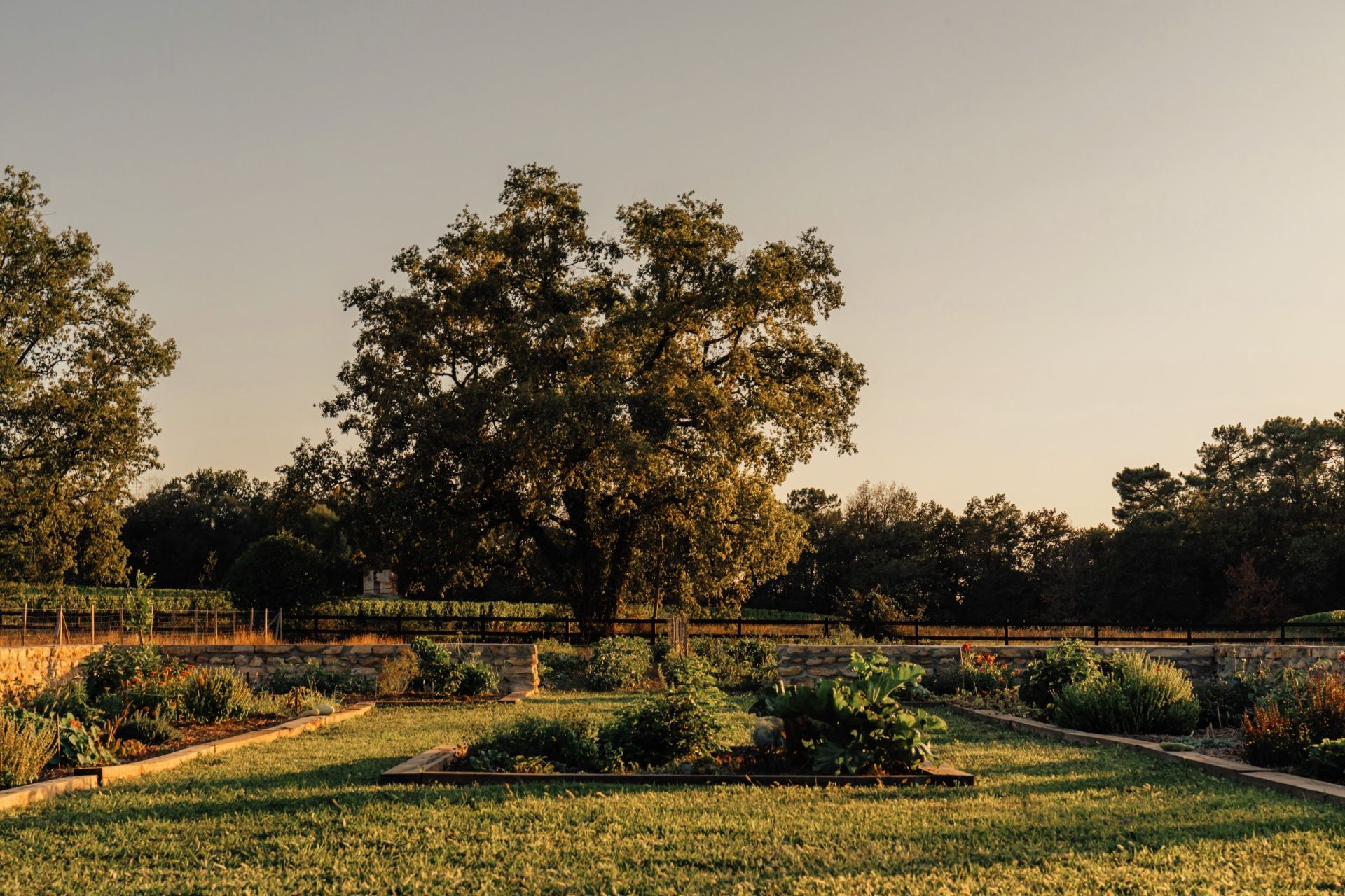 castle 15 Rooms for sale on ST EMILION (33330)