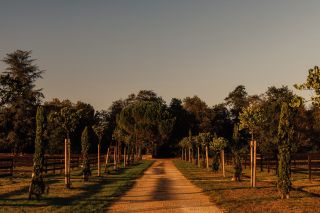 castle 15 Rooms for sale on ST EMILION (33330)