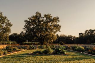 castle 15 Rooms for sale on ST EMILION (33330)
