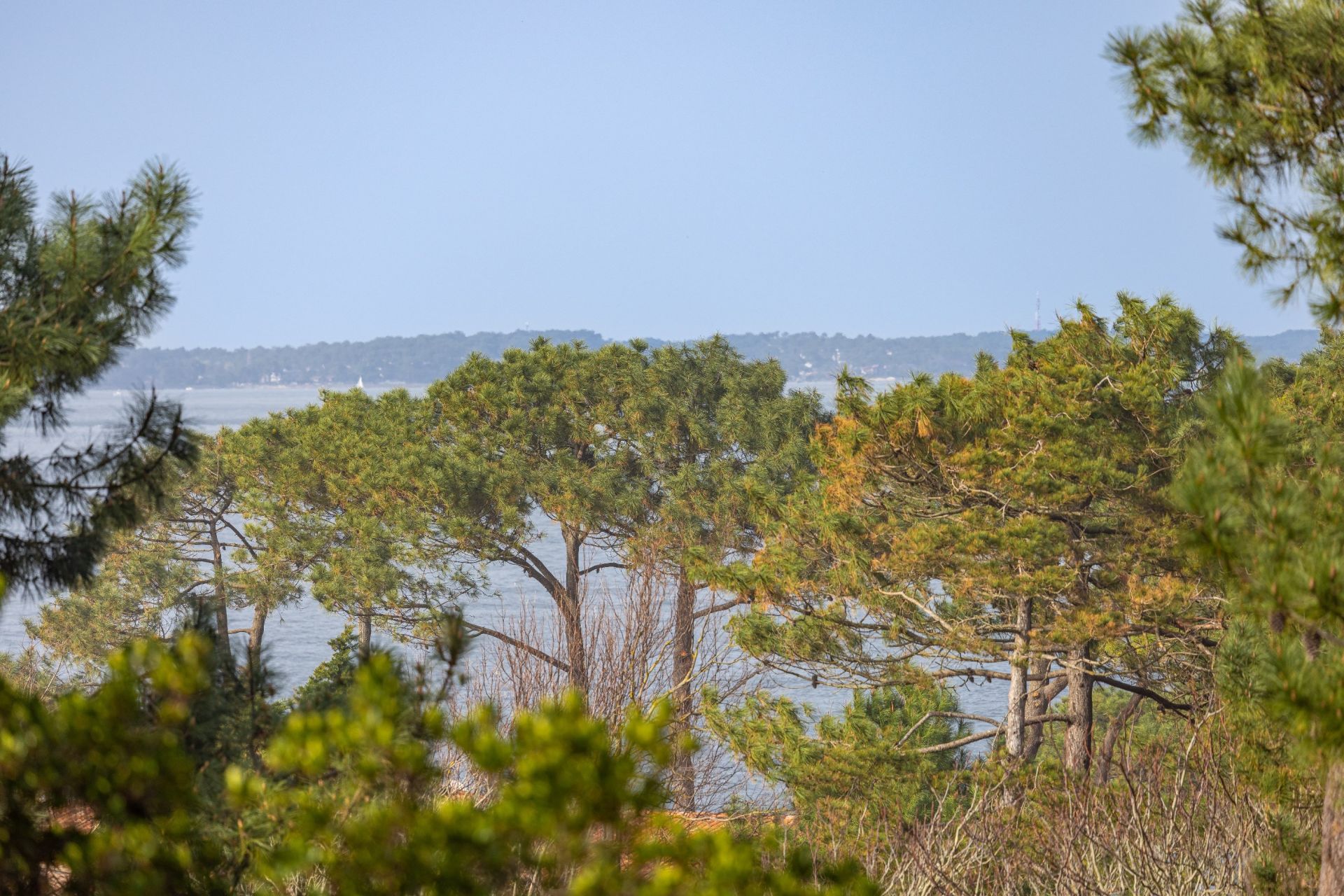 house 5 Rooms for sale on PYLA SUR MER (33115)