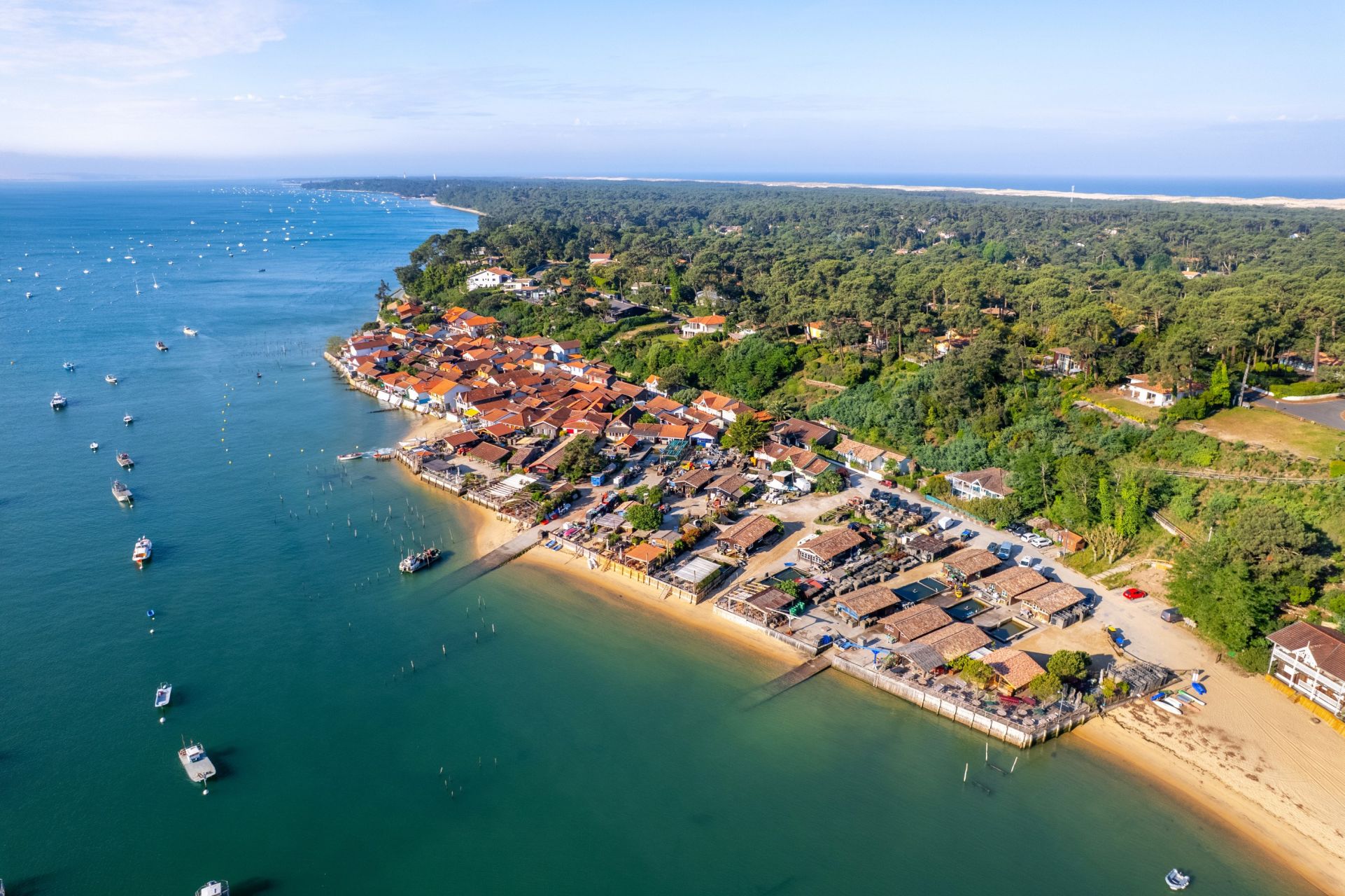 house 9 Rooms for sale on CAP FERRET (33970)