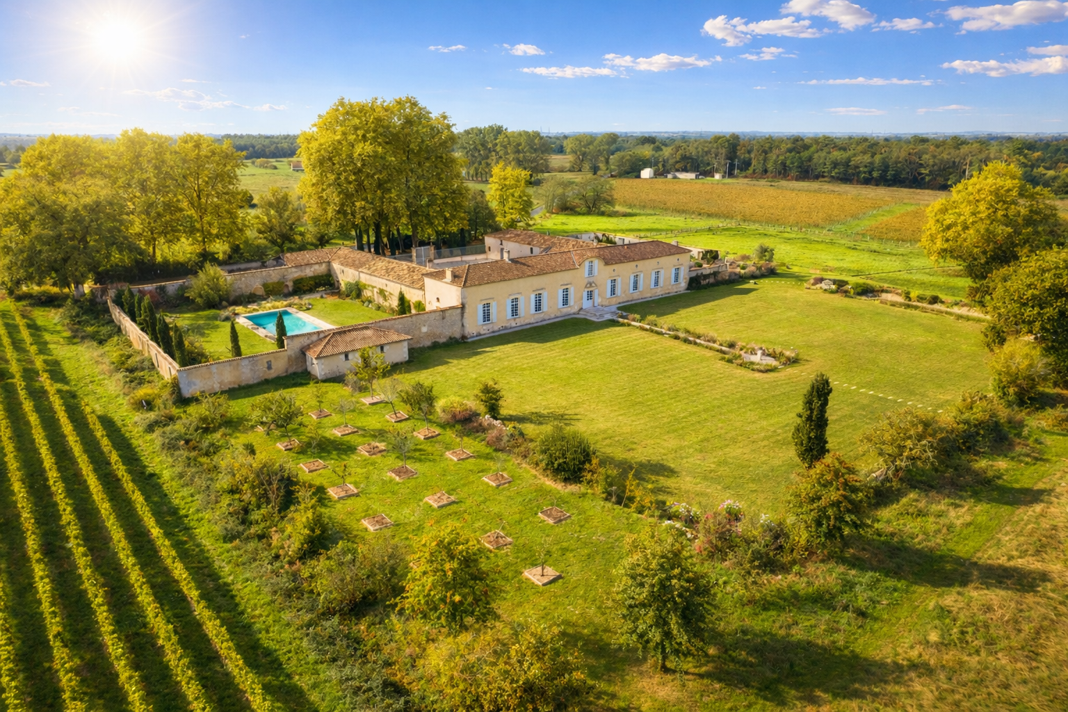 château 10 Pièces en vente sur BORDEAUX (33000)