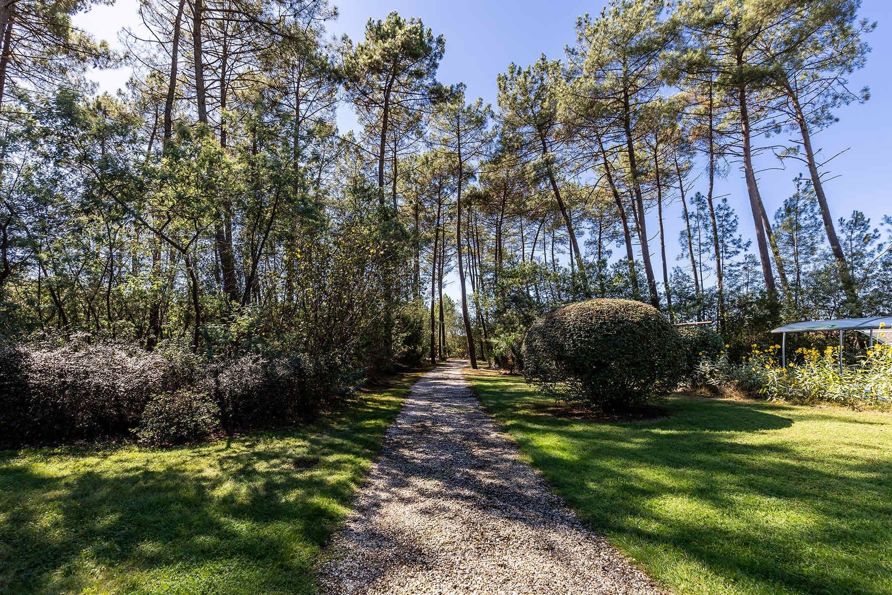 maison 6 Pièces en vente sur BISCARROSSE (40600)