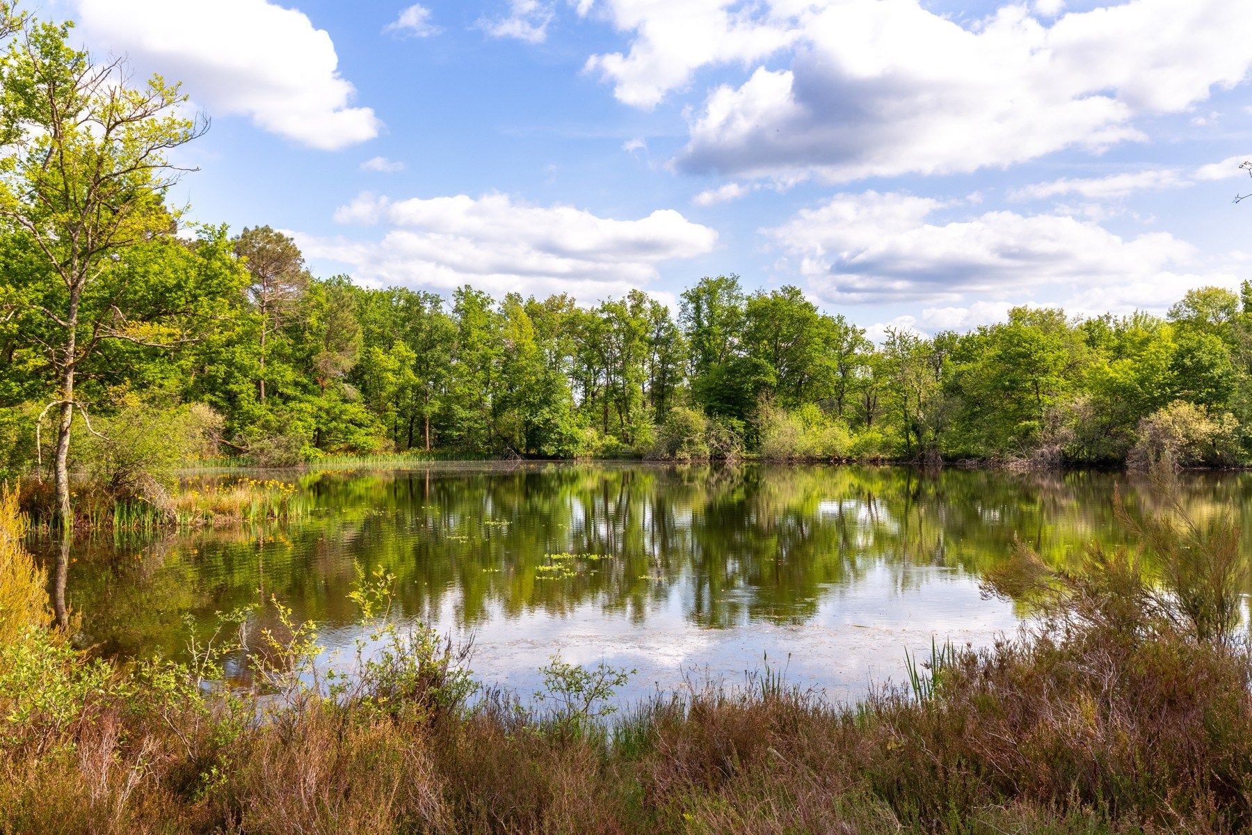 château 8 Pièces en vente sur BORDEAUX (33000)