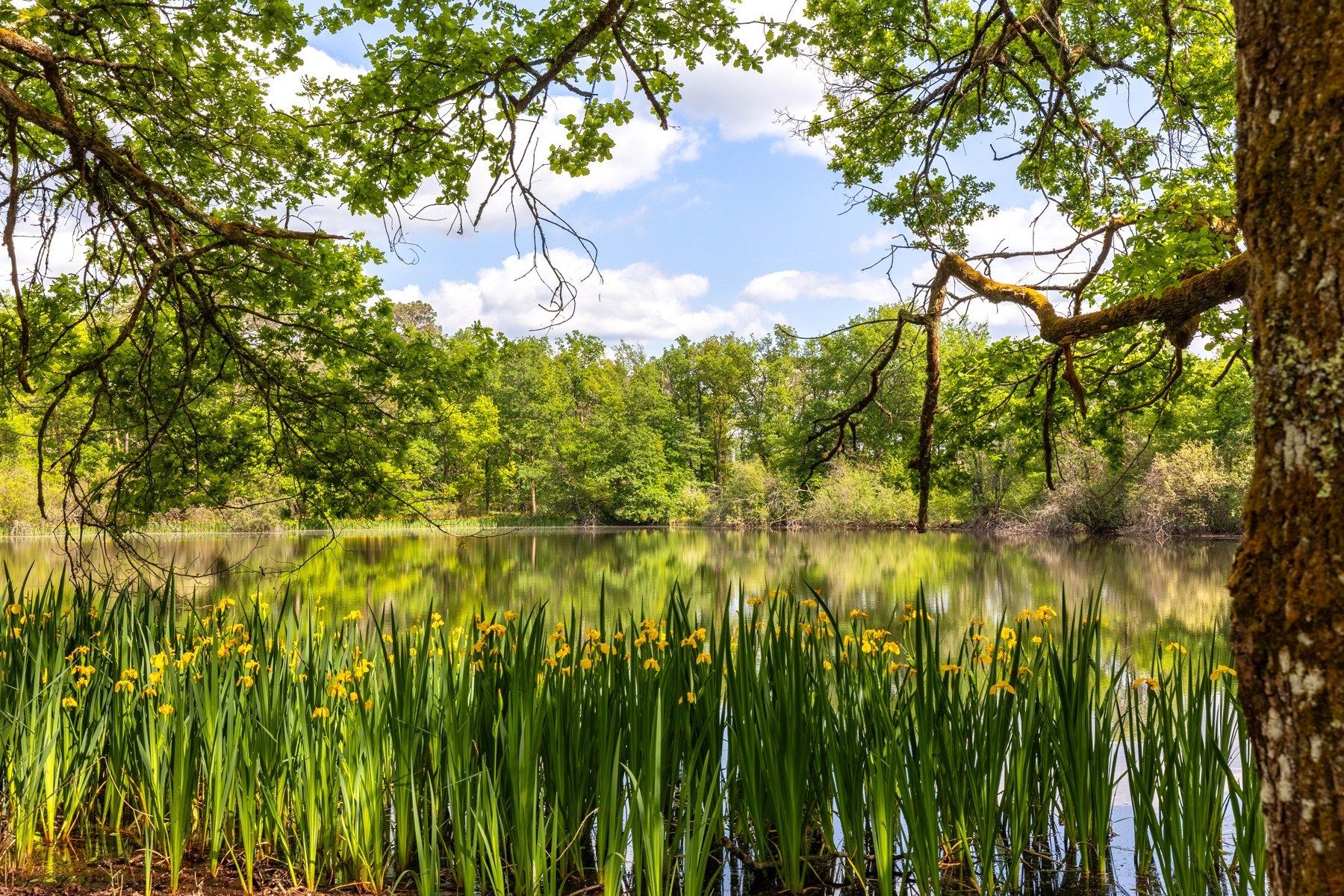 château 8 Pièces en vente sur BORDEAUX (33000)