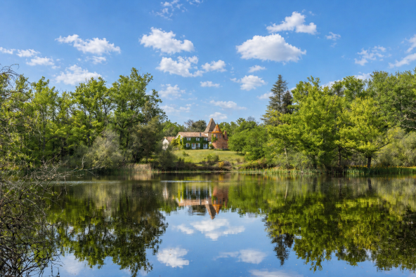 Vente Château Bordeaux 8&nbsp;Pièces 450&nbsp;m²