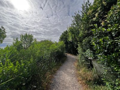 Vente Terrain Gujan-Mestras 1262&nbsp;m²