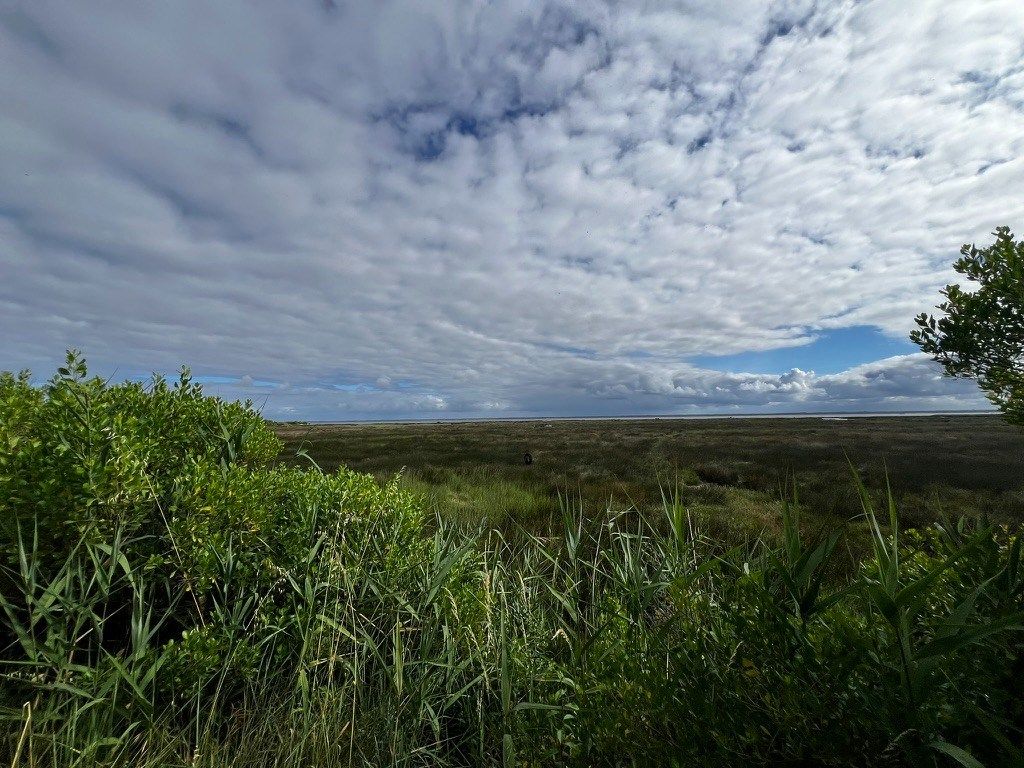 terrain en vente sur GUJAN MESTRAS (33470)