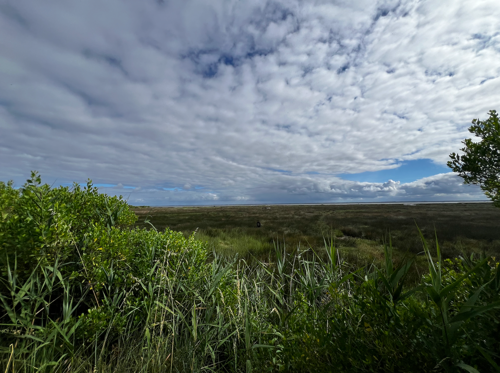 terrain en vente sur GUJAN MESTRAS (33470)