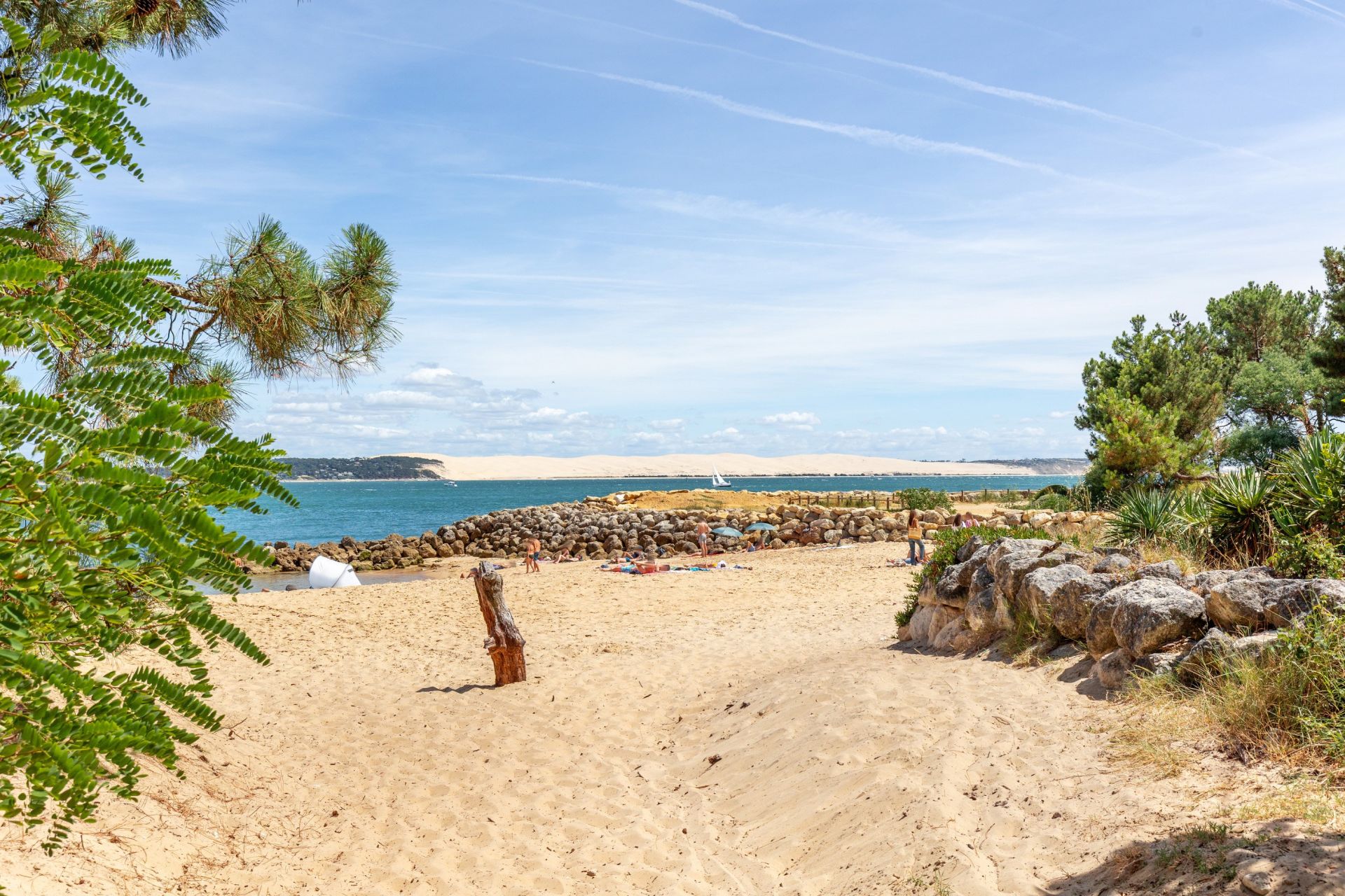 house 5 Rooms for sale on CAP FERRET (33970)