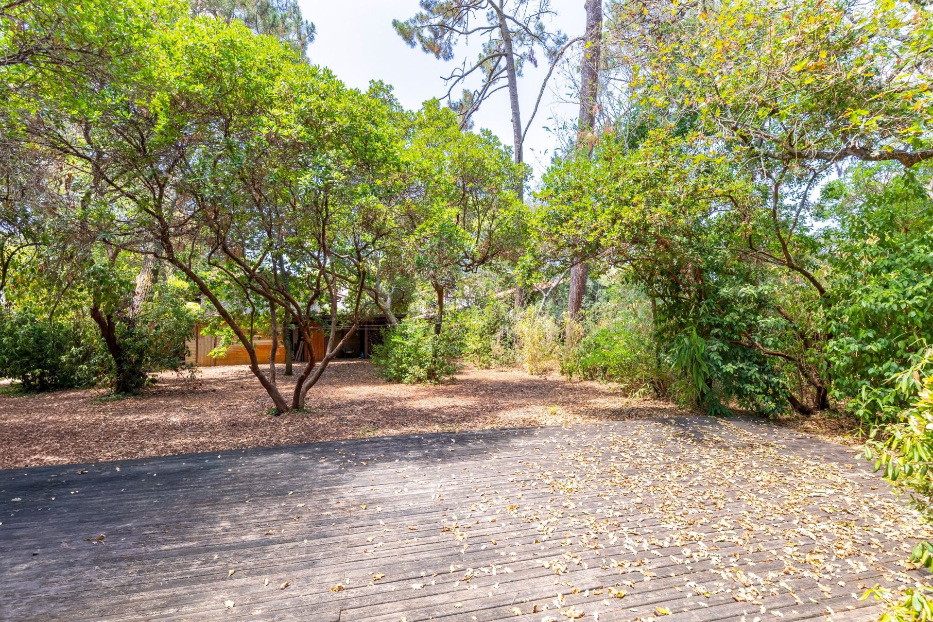 house 7 Rooms for sale on PYLA SUR MER (33115)