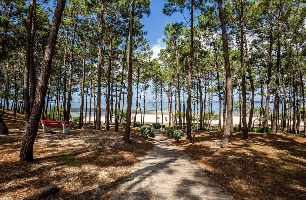 maison 5 Pièces en vente sur ARCACHON (33120)