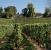 propriété viticole 40 Pièces en vente sur BORDEAUX (33000)