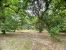 Vente Terrain Arcachon 1050 m²