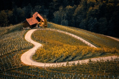 Pourquoi investir dans un vignoble bordelais en 2024 ?