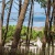 Real Estate in Cap Ferret Pyla with Cap Ferret Pyla Sotheby’s International Realty