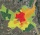 Analyse du marché immobilier à Bordeaux